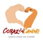 90e3c4f0-2c63-445b-ae1d-005195cd616a