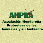 Ahpra