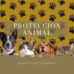 a82d6724-cdab-4a81-88a6-cc8fdacca405