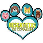 aa9939a0-0273-43fa-a90f-74ecb4cc1d75