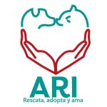 b9d236dc-b75c-4856-8bc9-dbc9c4e0dc91