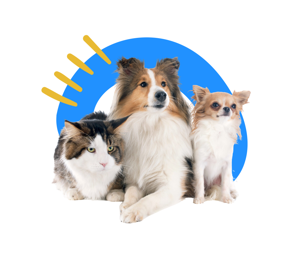 a890dd15c9c14792bfe164aac531e4b6