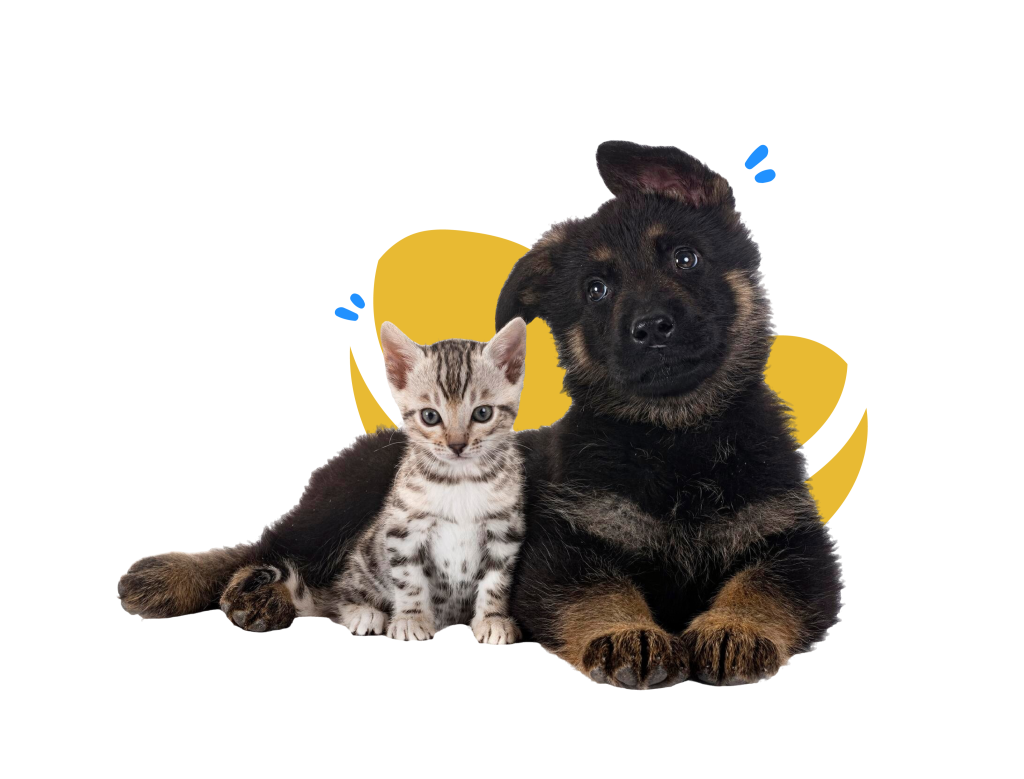 d0b66ea3f7a936840bb44303063d8f41