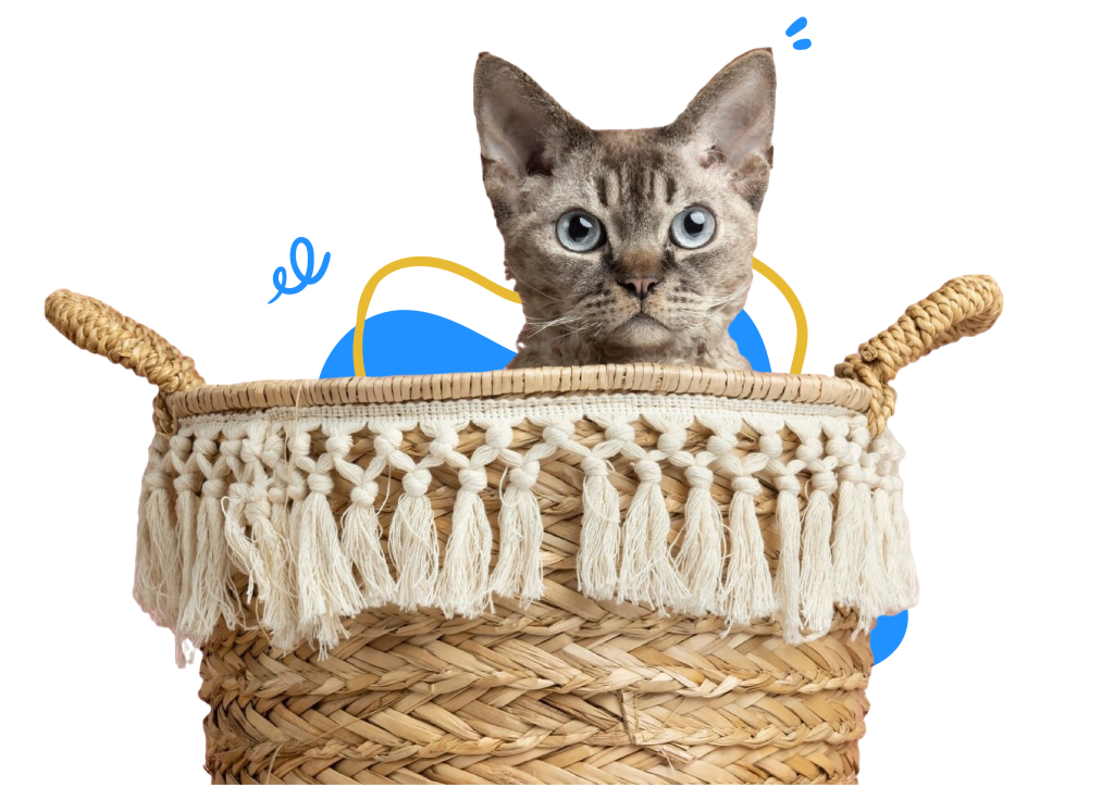 d8b9db5a52c4f40c1b7f079480555aa7